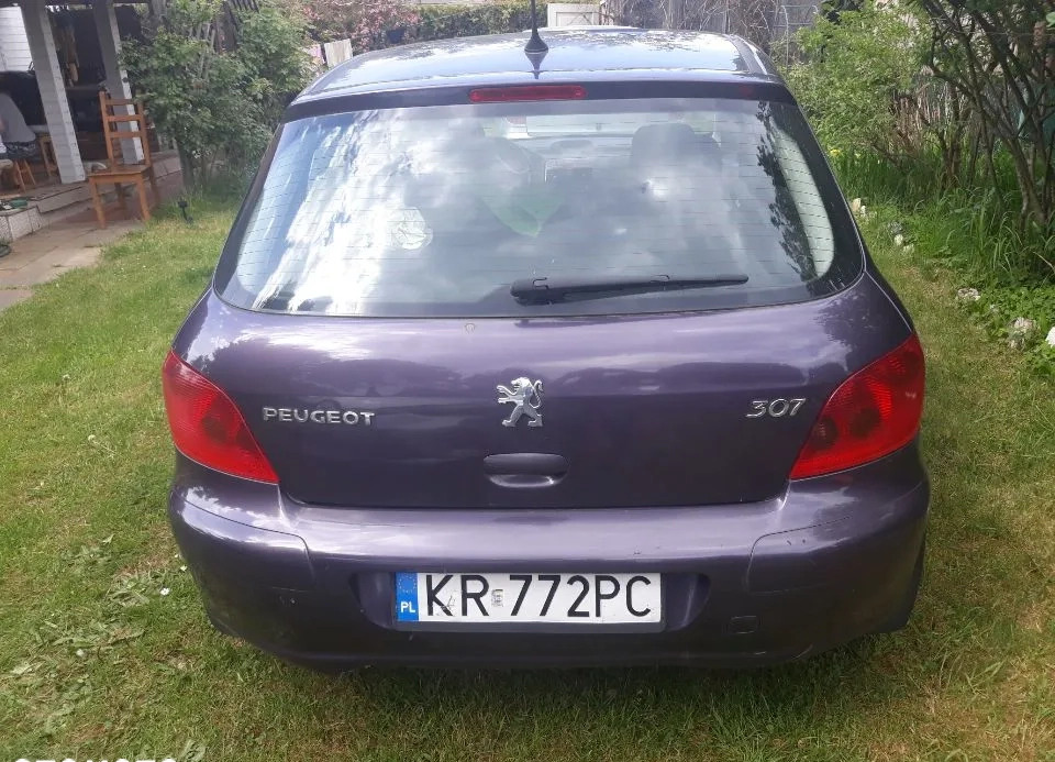 Peugeot 307 cena 3500 przebieg: 198000, rok produkcji 2002 z Kraków małe 16